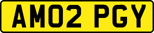 AM02PGY