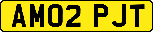 AM02PJT