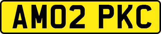 AM02PKC