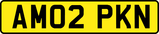 AM02PKN