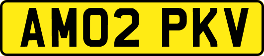 AM02PKV