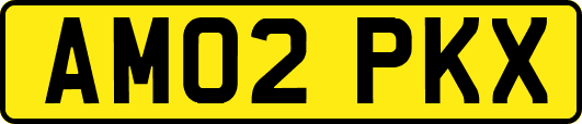 AM02PKX