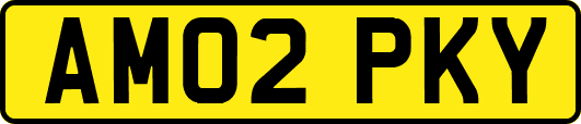 AM02PKY