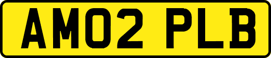 AM02PLB