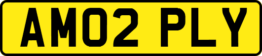 AM02PLY
