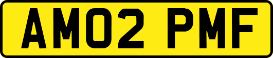 AM02PMF