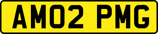 AM02PMG