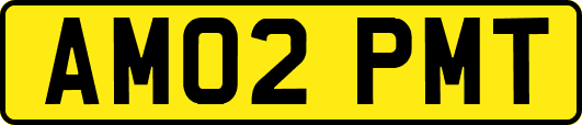AM02PMT