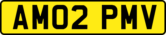 AM02PMV
