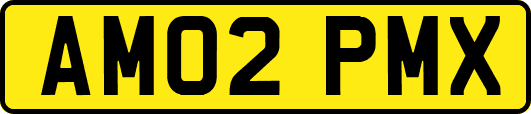 AM02PMX