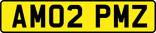 AM02PMZ