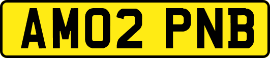 AM02PNB