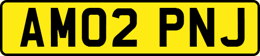 AM02PNJ