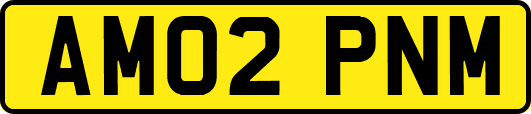 AM02PNM