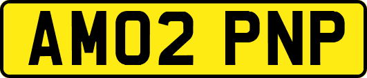 AM02PNP