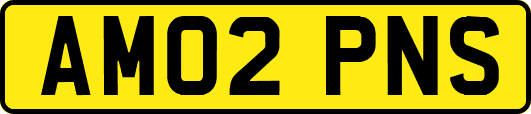 AM02PNS