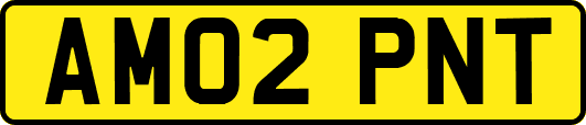 AM02PNT