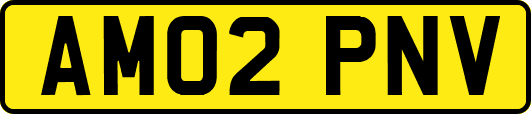 AM02PNV