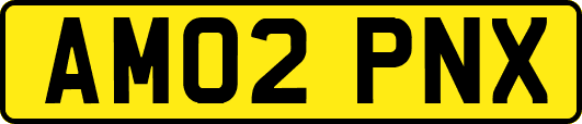 AM02PNX