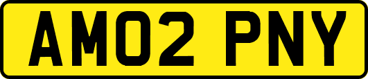 AM02PNY