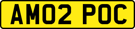 AM02POC