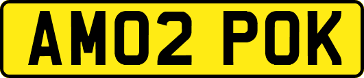 AM02POK