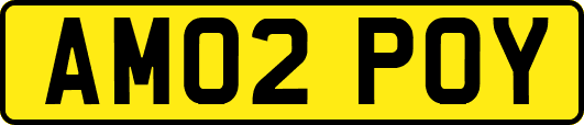 AM02POY