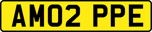 AM02PPE