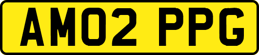 AM02PPG