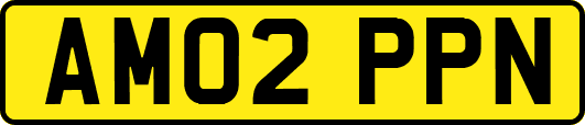 AM02PPN