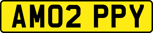 AM02PPY