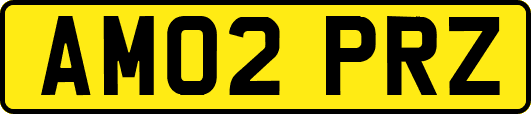AM02PRZ