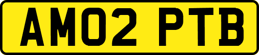 AM02PTB