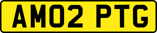 AM02PTG