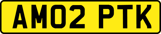 AM02PTK