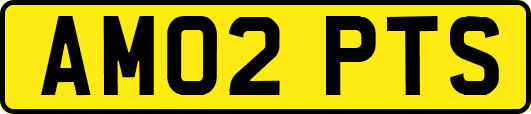 AM02PTS