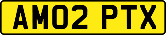 AM02PTX