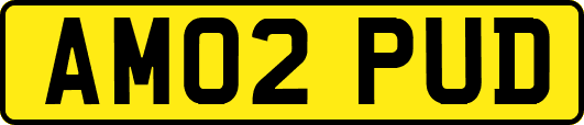 AM02PUD