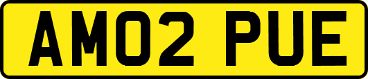 AM02PUE