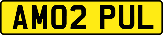 AM02PUL