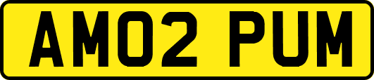AM02PUM