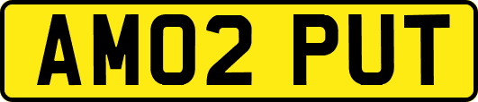 AM02PUT
