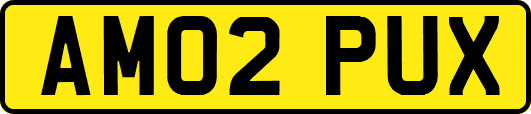 AM02PUX