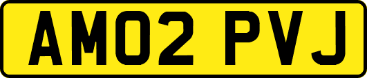AM02PVJ