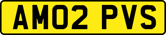 AM02PVS