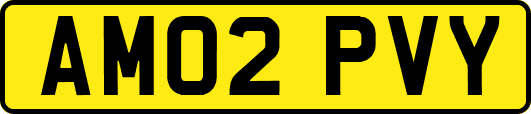 AM02PVY