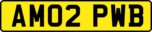 AM02PWB