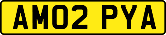 AM02PYA