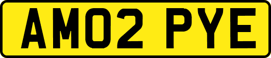AM02PYE