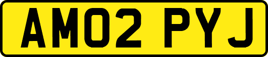 AM02PYJ